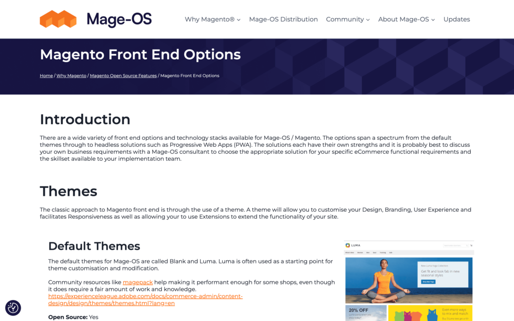 Frontend Options Page Screenshot